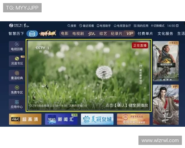 畅享最佳电视直播体验，尽在指尖高清频道